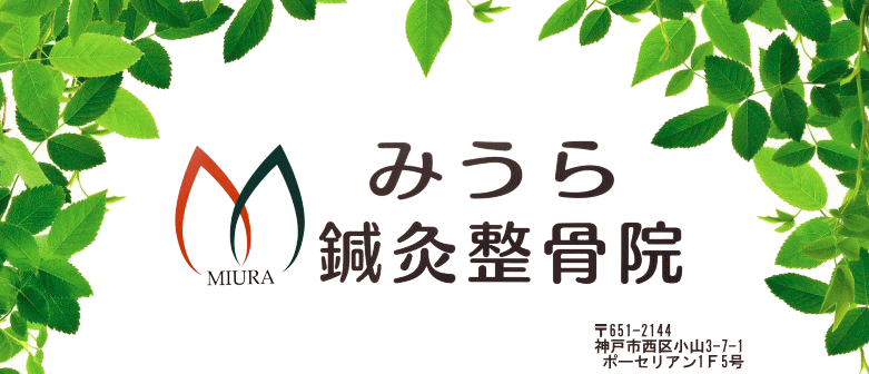 みうら鍼灸整骨院